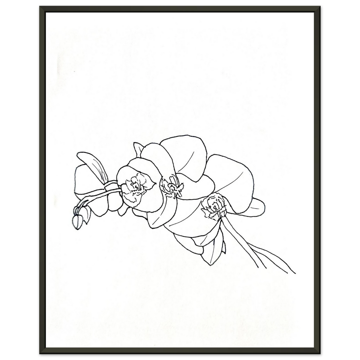 d660a316-cd17-490e-bdca-350eb990f604
