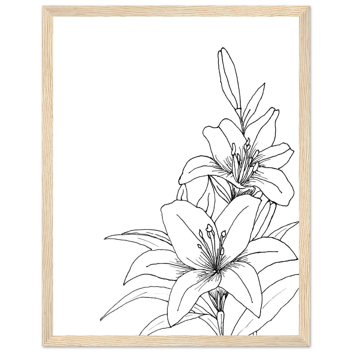 1bc937d5-2ca6-4646-abf2-8e0b8752edce
