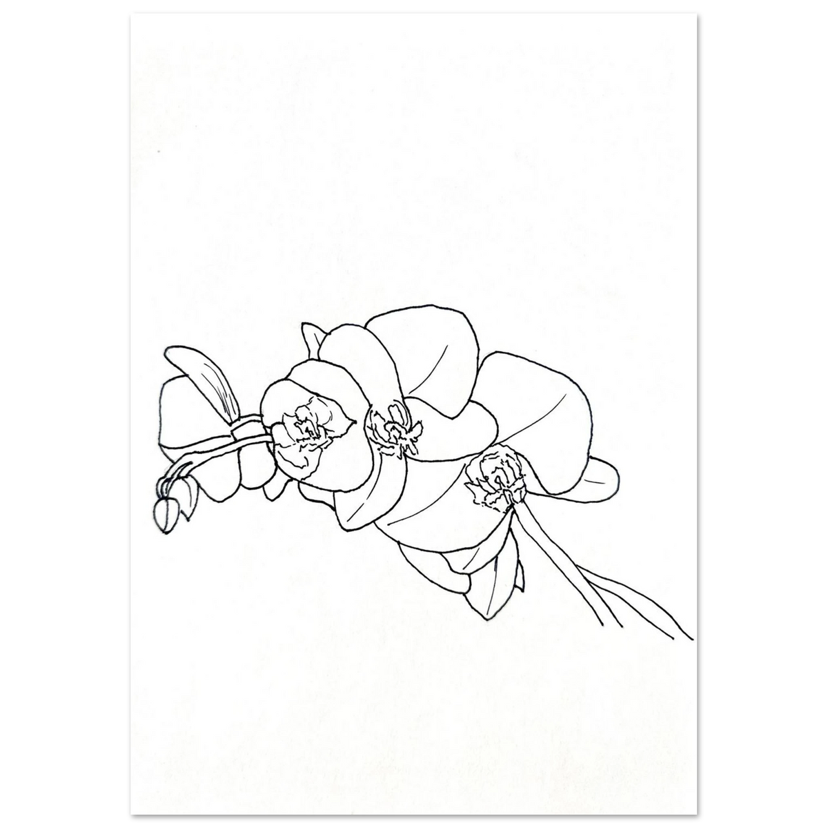 21aa2528-9229-4aaf-bec0-2b5ca9df22fa