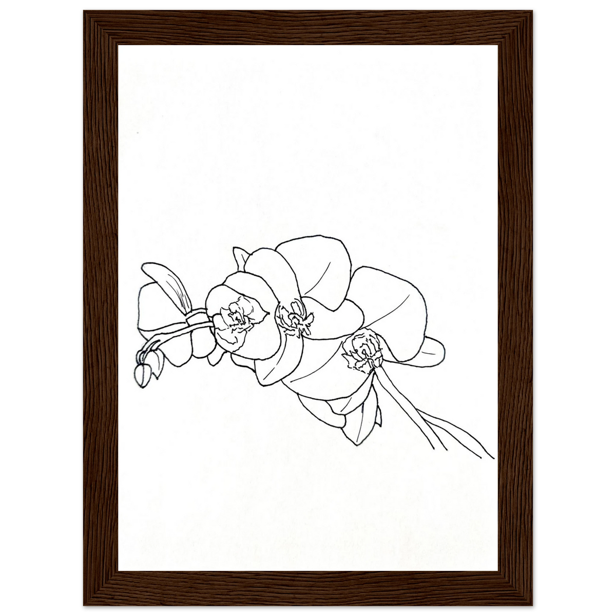 4aab4042-c20e-4aff-b06a-f4870c41a22b