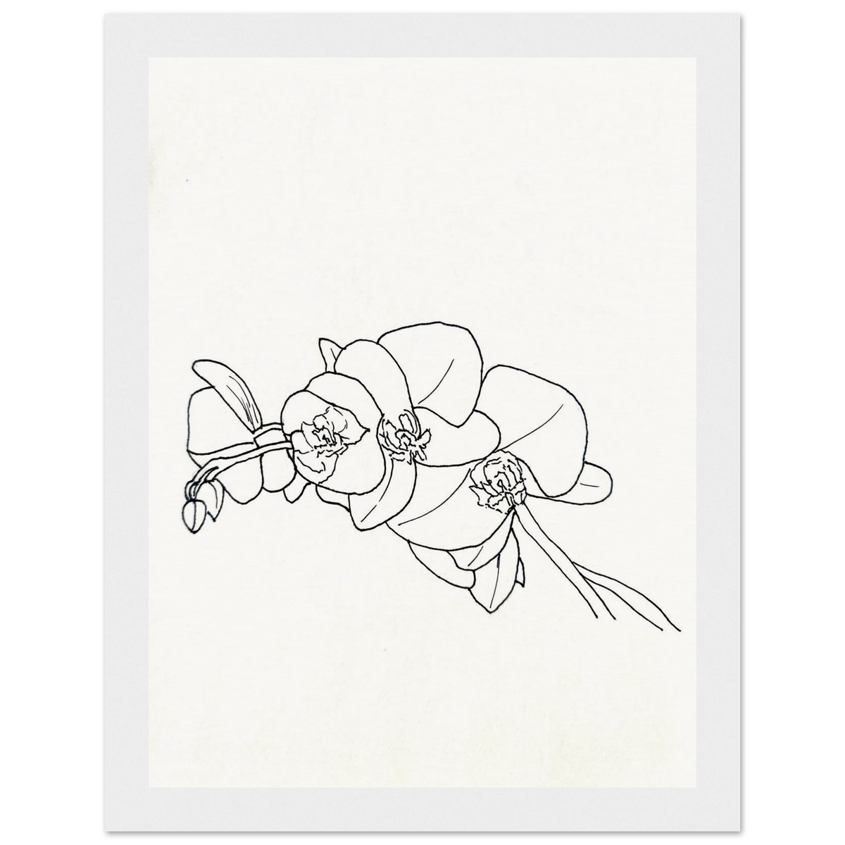 ef0d6fba-287e-474d-b132-07782de54a8d
