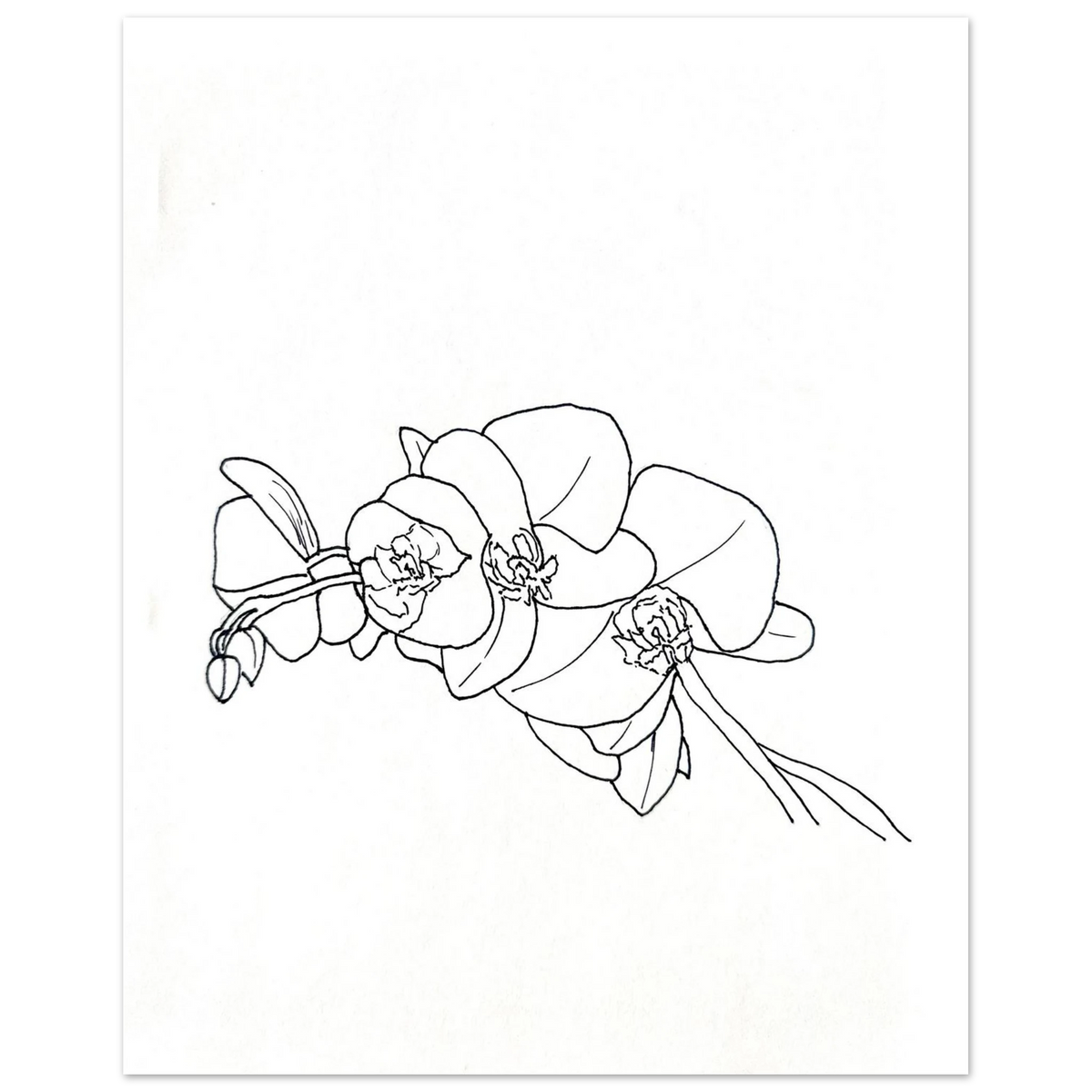 f553f922-859d-47e8-b3d7-aea198132937